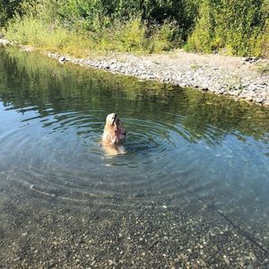 Meet your Posher, Cali